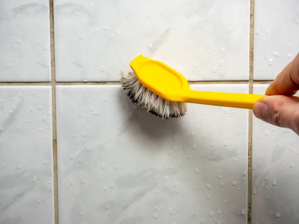 Best Mold Cleaning Services  in Orange Beach, AL