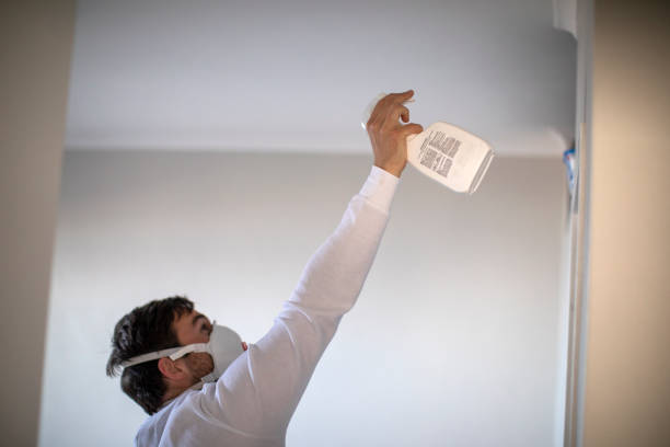 Best Water Damage Restoration  in Orange Beach, AL
