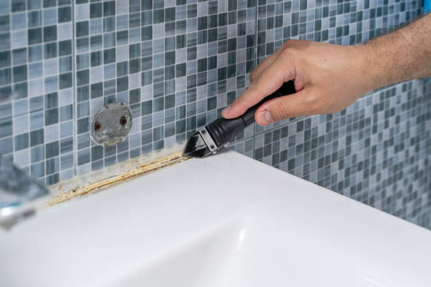 Best Same-Day Mold Removal  in Orange Beach, AL