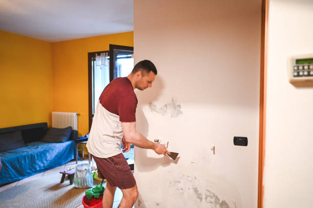 Best Mold Removal and Inspection  in Orange Beach, AL